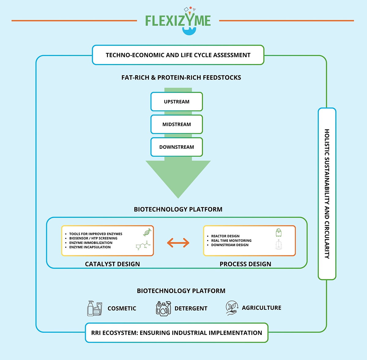 flexizyme 01